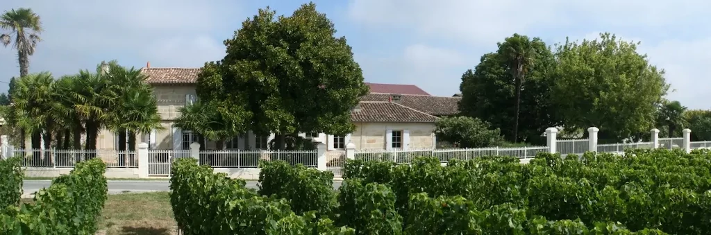 vue du chateau rioublanc et ses vignes